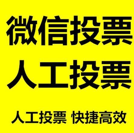 石家庄市投票活动拉票能被查出来吗？如何操作能不被发现？